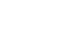 logo NKT_piccolo_W